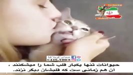 حیوانات یكبار قلب شمارامیشكنند،زمانى كه دیگرقلبشان نزند