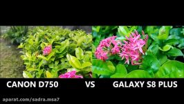 SAMSUNG GALAXY S8 VS DSLR CANON D750 TOUGH FIGHT