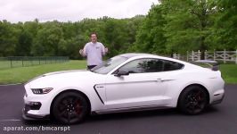 The Shelby GT350R Is the Ultimate Ford Mustang