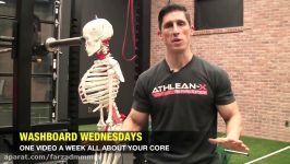 Core Strength Secret THE HIP HINGE