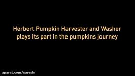 Herbert Engineering  Pumpkin Harvester and Washer