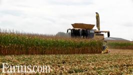 CLAAS LEXION 780 Combine in Farm Progress Show 2016 Corn Harvest Demo