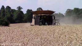 CLAAS Lexion 760TT Combine Harvesting Wheat