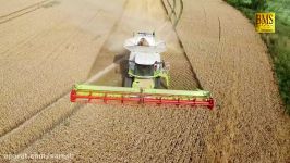 Mähdrescher CLAAS LEXION 780 Terra Trac TT Weizenernte  biggest bine harvester wheat harvest