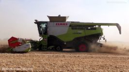 Combine harvester Claas Lexion 780 in ACTION