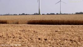 Combine harvester Claas Lexion 780 in ACTION