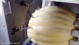 World Amazing Modern Agriculture Mega Machines Harvesters Pumpkin and Squash Field Fertilizing