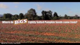 Where do BIGS Pumpkin Seeds Come From