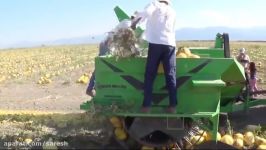 World Amazing Modern Agriculture Pumpkin Seed Harvesting Machine