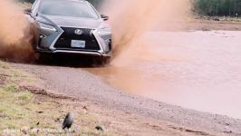 Volvo XC90 vs Lexus RX350 F Sport  اخبار خودرو