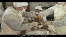 کاملا سالم ماندن بدن مومیایی