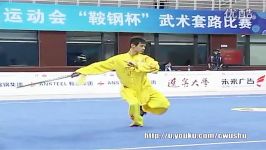 ووشو ، مسابقات داخلی چین فینال تایجی جیان، ژو بین، 4ام