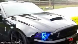 Ford Mustang Shelby Cobra Spit Nitrous