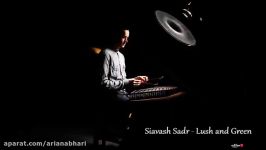 Siavash Sadr  Lush and Green Santur Solo