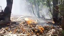 آتش سوزی جنگل سروک استان کهگیلویه بویراحمد