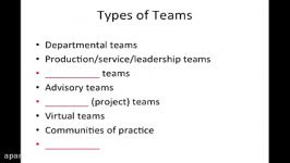 Organizational Behavior Teams