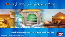 زیارة الامام علی وفاطمة الزهراء علیهما السلام أیام الأحد