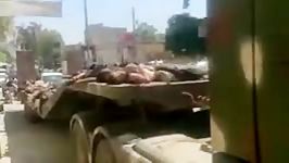 هلاکت پنجاه داعشی در مرز کرمانشاه در عراق، توسط سپاه پاسداران انقلاب