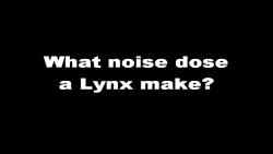 صدای سیاه گوش lynx