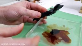 Ink Bendy initial test with ferrofluid