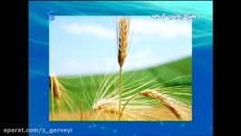 گروه فرهنگی هنری سیمرغ سخن پارس پیام های سلامت