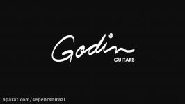 Godin Multiac Steel Duet Ambiance