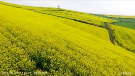 تصویر هوایی مازندران روستای اومال آذر هلی شات