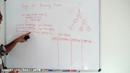 Size Of Binary Tree