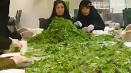 آماده سازی افطاری برای زائران حرم رضوی  صدای هلالی حامد زمانی