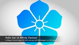 Blüten  Affinity Designer Tutorial