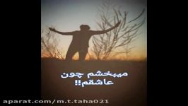 میبخشم چون عاشقم