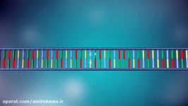 DNA replication  3D