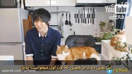 تبدیل 3 دلار به چند هزار دلار زیرنویس یوتیوب فارسی