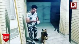 خنگ ترین سگِ ایران لهجه شیرینز خخخ