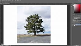 How to Cut Out aTree using Photoshop