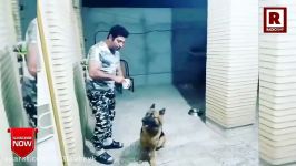 خنگ ترین سگِ ایران لهجه شیرین مازندرانی خخخ