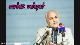 حسن عباسی ما دولتی می خواهیم که...