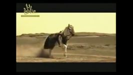 صحنه عاشورا در مختارنامه