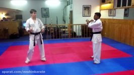 Enshin Karate Sabaki Techniques