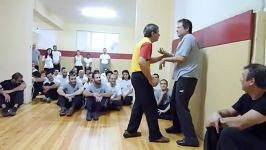 سمینار 2010 Sifu Tassos  وینگ چون