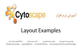 Cytoscape  Layout Examples