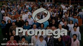 safirazma.com نمایندگی فروش محصولات شرکت پرومگا promega