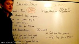 Auxiliary Verbs