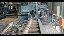 Extreme Modern Wood Cutting Machines Intelligent Equipment Factory Processing Huge Wood