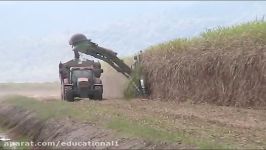 sugar cane harvester in australia