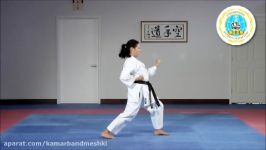 Kihon Kata San  International Hayashi Ha Shito Ryu