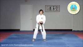 Kihon Kata Yon  International Hayashi Ha Shito Ryu