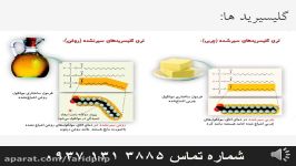 آموزش فصل 1 زیست شناسی سال دوم دبیرستان قسمت دوم