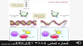 آموزش فصل 1 زیست شناسی سال دوم دبیرستان قسمت چهارم