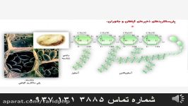 آموزش فصل 1 زیست شناسی سال دوم دبیرستان قسمت پنجم